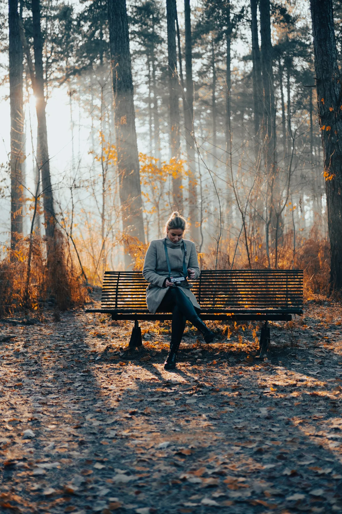 A person pauses on a bench in a sunlit forest.